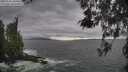 ./images/koeye/fitz-hugh/20260506/fitz-hugh20260506_180501M.jpg