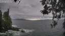 ./images/koeye/fitz-hugh/20260506/fitz-hugh20260506_182001M.jpg