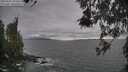 ./images/koeye/fitz-hugh/20260506/fitz-hugh20260506_184501M.jpg