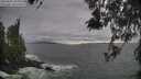 ./images/koeye/fitz-hugh/20260506/fitz-hugh20260506_185001M.jpg