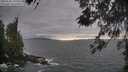 ./images/koeye/fitz-hugh/20260506/fitz-hugh20260506_191001M.jpg