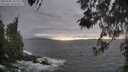 ./images/koeye/fitz-hugh/20260506/fitz-hugh20260506_192001M.jpg