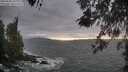 ./images/koeye/fitz-hugh/20260506/fitz-hugh20260506_193001M.jpg