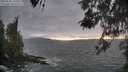 ./images/koeye/fitz-hugh/20260506/fitz-hugh20260506_193501M.jpg