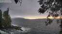./images/koeye/fitz-hugh/20260506/fitz-hugh20260506_195001M.jpg