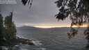 ./images/koeye/fitz-hugh/20260506/fitz-hugh20260506_200001M.jpg