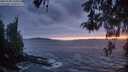./images/koeye/fitz-hugh/20260506/fitz-hugh20260506_213001M.jpg