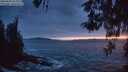 ./images/koeye/fitz-hugh/20260506/fitz-hugh20260506_214001M.jpg