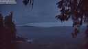 ./images/koeye/fitz-hugh/20260507/fitz-hugh20260507_050501M.jpg