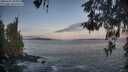 ./images/koeye/fitz-hugh/20260507/fitz-hugh20260507_061001M.jpg