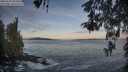 ./images/koeye/fitz-hugh/20260507/fitz-hugh20260507_064501M.jpg