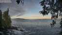 ./images/koeye/fitz-hugh/20260507/fitz-hugh20260507_065502M.jpg