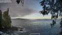 ./images/koeye/fitz-hugh/20260507/fitz-hugh20260507_072001M.jpg