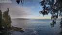./images/koeye/fitz-hugh/20260507/fitz-hugh20260507_074002M.jpg