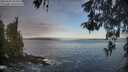 ./images/koeye/fitz-hugh/20260507/fitz-hugh20260507_074501M.jpg
