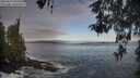 ./images/koeye/fitz-hugh/20260507/fitz-hugh20260507_075501M.jpg