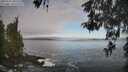 ./images/koeye/fitz-hugh/20260507/fitz-hugh20260507_080501M.jpg