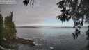 ./images/koeye/fitz-hugh/20260507/fitz-hugh20260507_081001M.jpg