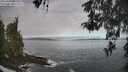 ./images/koeye/fitz-hugh/20260507/fitz-hugh20260507_082001M.jpg