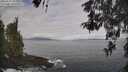 ./images/koeye/fitz-hugh/20260507/fitz-hugh20260507_091502M.jpg