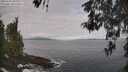 ./images/koeye/fitz-hugh/20260507/fitz-hugh20260507_093001M.jpg