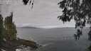 ./images/koeye/fitz-hugh/20260507/fitz-hugh20260507_094001M.jpg