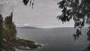 ./images/koeye/fitz-hugh/20260507/fitz-hugh20260507_094501M.jpg