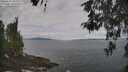 ./images/koeye/fitz-hugh/20260507/fitz-hugh20260507_103002M.jpg