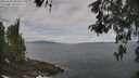 ./images/koeye/fitz-hugh/20260507/fitz-hugh20260507_104001M.jpg