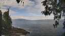 ./images/koeye/fitz-hugh/20260507/fitz-hugh20260507_105501M.jpg