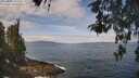 ./images/koeye/fitz-hugh/20260507/fitz-hugh20260507_110001M.jpg