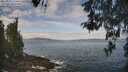 ./images/koeye/fitz-hugh/20260507/fitz-hugh20260507_110501M.jpg