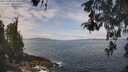 ./images/koeye/fitz-hugh/20260507/fitz-hugh20260507_113001M.jpg