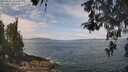 ./images/koeye/fitz-hugh/20260507/fitz-hugh20260507_113501M.jpg