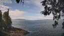 ./images/koeye/fitz-hugh/20260507/fitz-hugh20260507_114001M.jpg