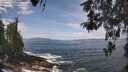 ./images/koeye/fitz-hugh/20260507/fitz-hugh20260507_115002M.jpg