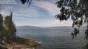./images/koeye/fitz-hugh/20260507/fitz-hugh20260507_121001M.jpg