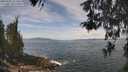 ./images/koeye/fitz-hugh/20260507/fitz-hugh20260507_121502M.jpg
