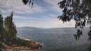 ./images/koeye/fitz-hugh/20260507/fitz-hugh20260507_122001M.jpg