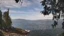 ./images/koeye/fitz-hugh/20260507/fitz-hugh20260507_122501M.jpg