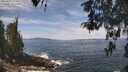 ./images/koeye/fitz-hugh/20260507/fitz-hugh20260507_123001M.jpg