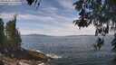 ./images/koeye/fitz-hugh/20260507/fitz-hugh20260507_123501M.jpg