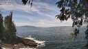 ./images/koeye/fitz-hugh/20260507/fitz-hugh20260507_124501M.jpg