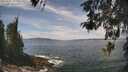 ./images/koeye/fitz-hugh/20260507/fitz-hugh20260507_125501M.jpg