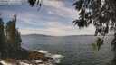 ./images/koeye/fitz-hugh/20260507/fitz-hugh20260507_130001M.jpg