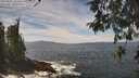 ./images/koeye/fitz-hugh/20260507/fitz-hugh20260507_132501M.jpg