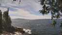 ./images/koeye/fitz-hugh/20260507/fitz-hugh20260507_133501M.jpg