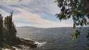 ./images/koeye/fitz-hugh/20260507/fitz-hugh20260507_134001M.jpg
