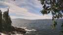 ./images/koeye/fitz-hugh/20260507/fitz-hugh20260507_134501M.jpg