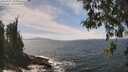 ./images/koeye/fitz-hugh/20260507/fitz-hugh20260507_135001M.jpg